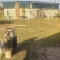 IMG-20250808-WA0069